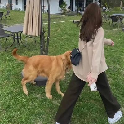 一拳超人 第二季