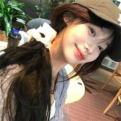 森林之北